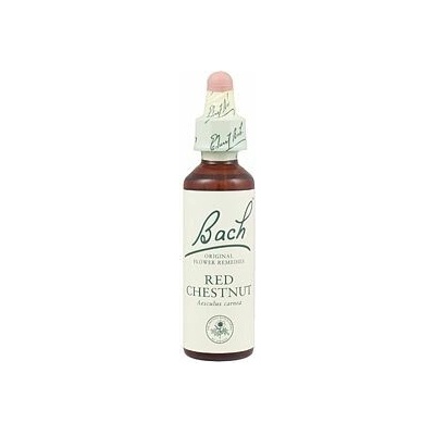 A. Nelson RED CHESTNUT Pagaštan pleťový 20 ml