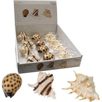 Europet Bernina Sea shell Mix 8,5-10 cm