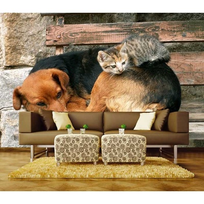 Dimex XL-208 vliesová fototapeta na zeď Cat and dog rozměry 330 x 220 cm