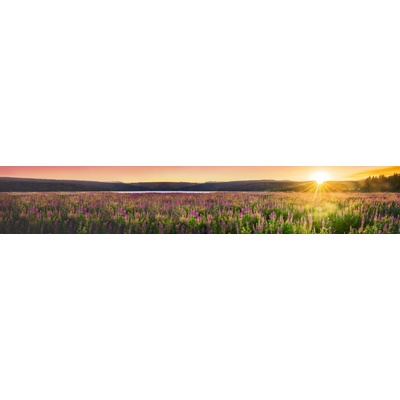 Dimex KI350-145 Fototapeta za linku Sunset over the Meadow rozměry 350 x 60 cm