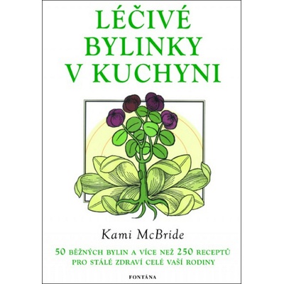 Léčivé bylinky v kuchyni