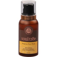 Soul Tree Nutgrass Face Wash 120 ml