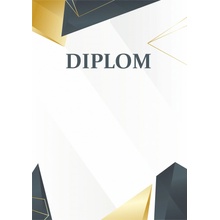 ETROFEJE diplom 17 modern