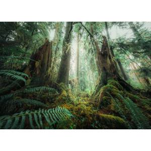 Ravensburger - Puzzle Power of Nature: Forest - 1 000 piese