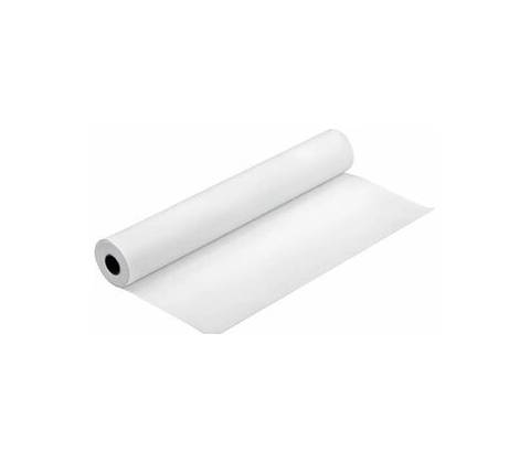 Epson C13S042074