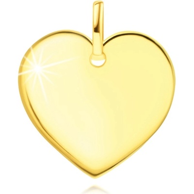 Šperky Eshop Přívěsek ze žlutého zlata ploché zrcadlově lesklé srdce S3GG250.27