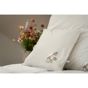 Termop páperový vankúš Excelent 50x70