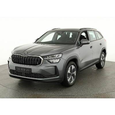Skoda Kodiaq 2.0 TDI DSG Selection 110 kW