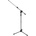 Bespeco MSF10C