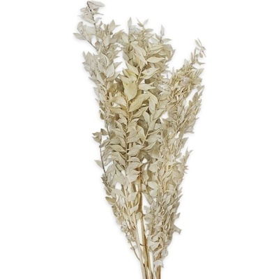 Rich grass svazek 50g bílá