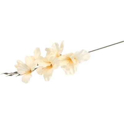 Kytice gladiol 371431-26