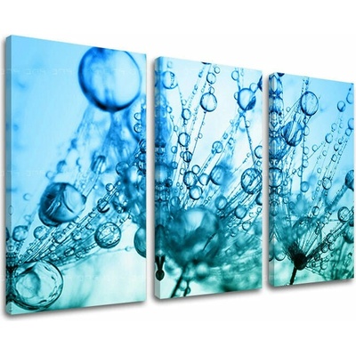 Obraz na stenu KVETY - 120x80 cm