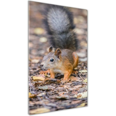 Vertikálny fotoobraz na skle Veverička v lese 50x100 cm