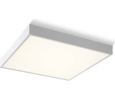 RENDL R13711
