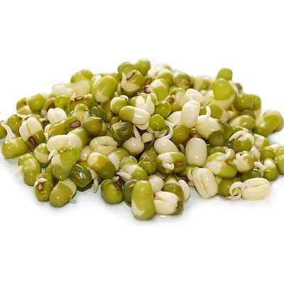Toraf FAZOLE MUNGO – semínka na klíčení 50g