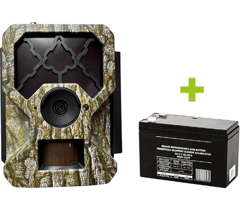 OXE Hornet 4G