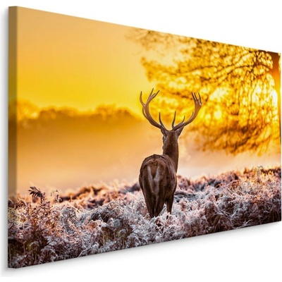 MyBestHome BOX Plátno Jelen Při Východu Slunce Varianta: 100x70