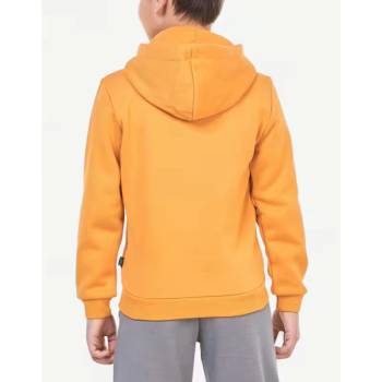 PUMA Essentials+ 2 Color Big Logo Hoodie Orange
