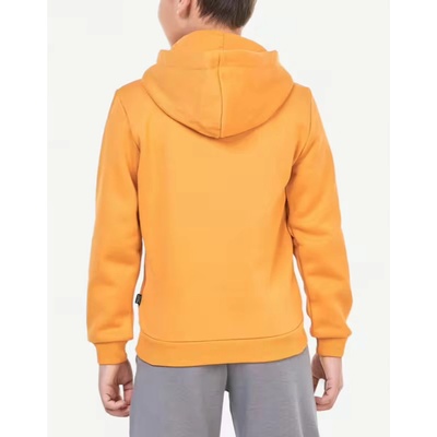 PUMA Essentials+ 2 Color Big Logo Hoodie Orange