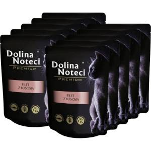 Dolina Noteci Premium Cat Fillet from Salmon 10 x 85 г