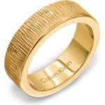 Calvin Klein 35001024e (35001024e)
