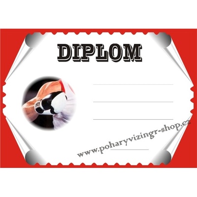 VIZINGR Box diplom A4 č.1