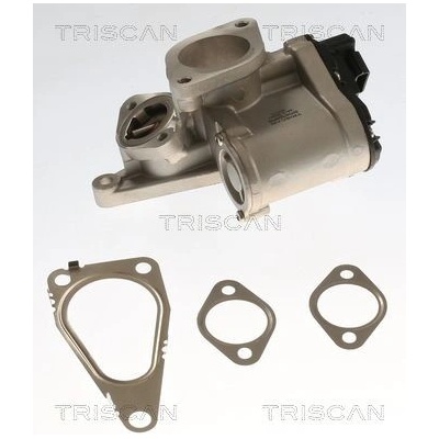 AGR - Ventil TRISCAN 8813 25201 8813 25201