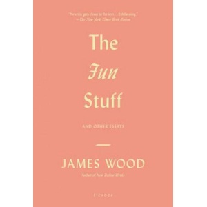 The Fun Stuff (ISBN: 9781250037831)