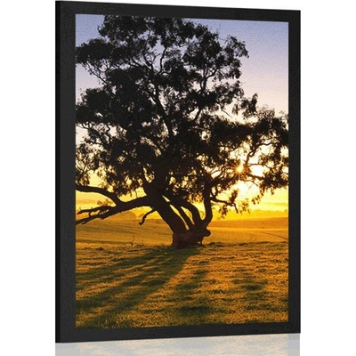 Plakát osamělý strom při západu slunce - 20x30 silver
