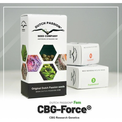 Dutch Passion CBG-Force semena neobsahují THC 3 ks