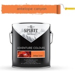 SPIRIT БОЯ ИНТЕРИОРНА spirit ac 2.5л antelope canyon (20-101106)