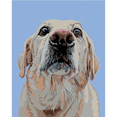 ZUTY Malování podle čísel LABRADOR 40x50 cm
