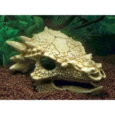 SuperFish Aqua Skull T-Rex M 15x11x8 cm