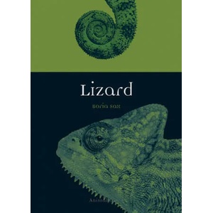 Lizard | Boria Sax (ISBN: 9781780238289)