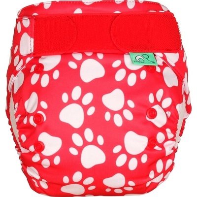 Tots Bots EasyFit Star PAWFECT