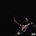 Scott Travis: Utopia: LP LP