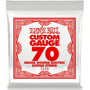Ernie Ball P01170 Единична струна за китара (P01170)