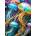 Enjoy - Puzzle Jellyfish Glow - 1 000 piese