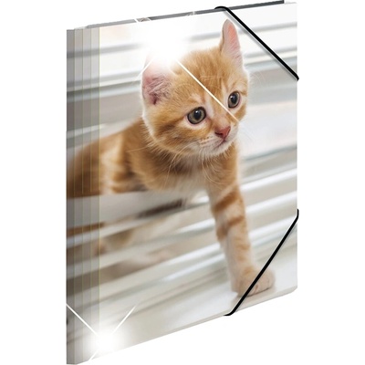 HERMA Папка Animals, картонена, с ластик, A4, PP, котки (O1070380017)