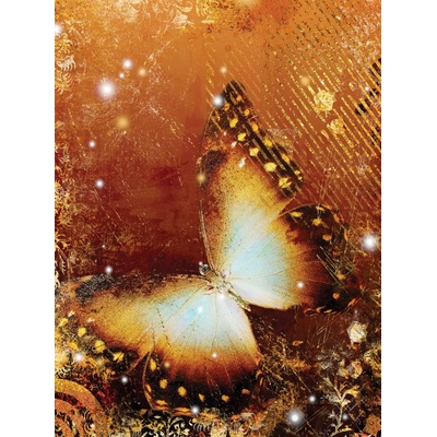 Preinterier Fototapeta panel - PL0259 - Oranžový motýľ vlies - 206cm x 275cm