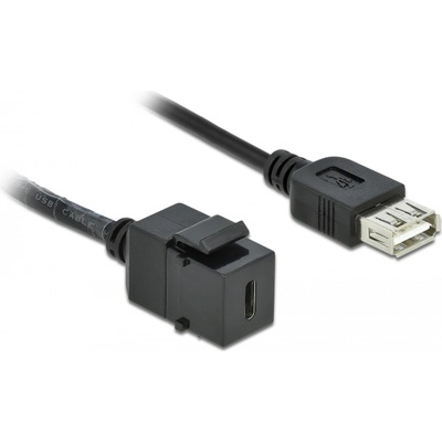 Delock Модул Delock Keystone, USB 2.0 C гнездо USB 2.0 A гнездо с кабел