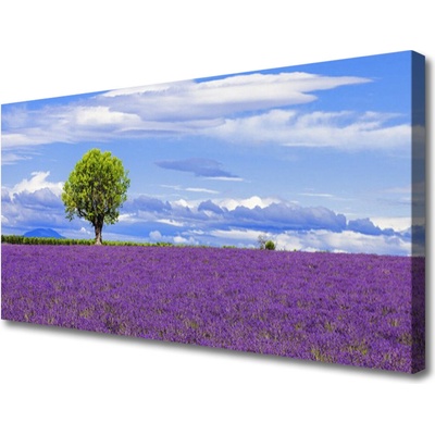 Obraz Canvas Pole levanduľa strom príroda 100x50 cm