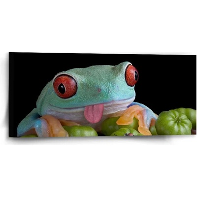 Sablio Obraz Veselá žaba - 110x50 cm