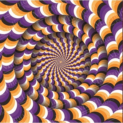Magnolia - Puzzle Optical Illusion - 1 000 piese