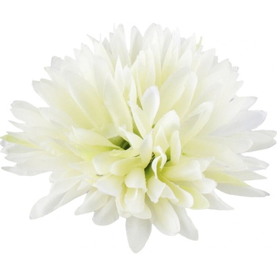 Chryzantéma hlava Ana 12 cm Lt.Yellow/Green 24 ks/bal