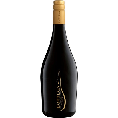 Bottega Cuvée Frizzante 10,5% 0,75 l (čistá fľaša)