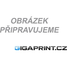 Ricoh 888315 - originální