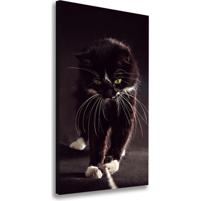 Vertikálny foto obraz na plátne do obývačky Čierna mačka 50x100 cm