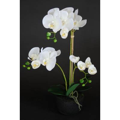 ILA Umělá rostlina Orchidej Phalaenopsis (50cm) - bílá