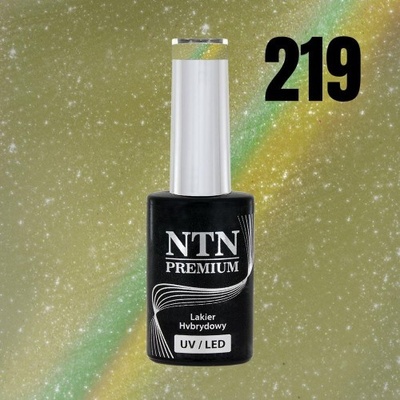 NTN Gél lak premium Magnetic Cat Eye 6D 219 5 g